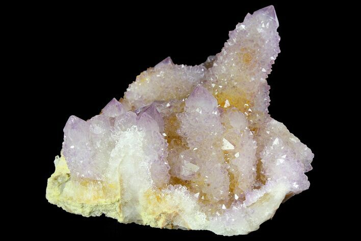 Cactus Quartz (Amethyst) Crystal Cluster - South Africa #180723